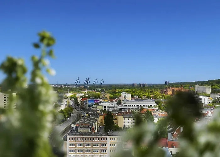 Panorama- The View Of By Elite