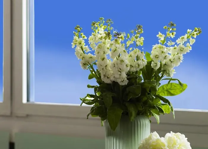 Panorama- The View Of By Elite Apartmanhotel Gdańsk